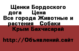 Щенки Бордоского дога.  › Цена ­ 30 000 - Все города Животные и растения » Собаки   . Крым,Бахчисарай